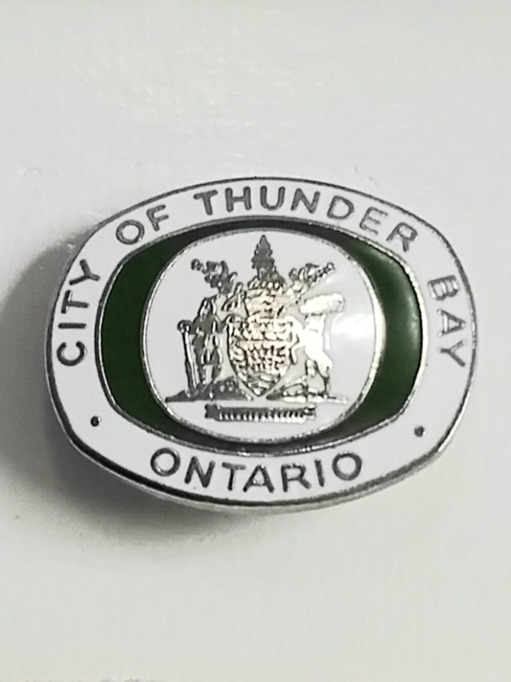 4/$20 Vintage City of Thunder Bay Ontario Metal/Enamel Collector's Pin!!